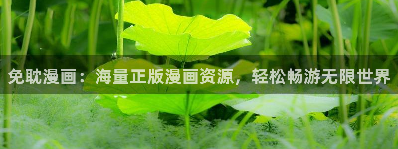 蛙漫漫画网：免耽漫画：海量正版漫画资源，轻松畅游无限世界