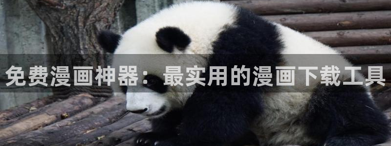 喵趣漫画官方版：免费漫画神器：最实用的漫画下载工具