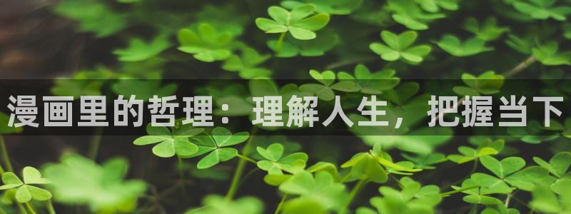 喵漫漫画：漫画里的哲理：理解人生，把握当下