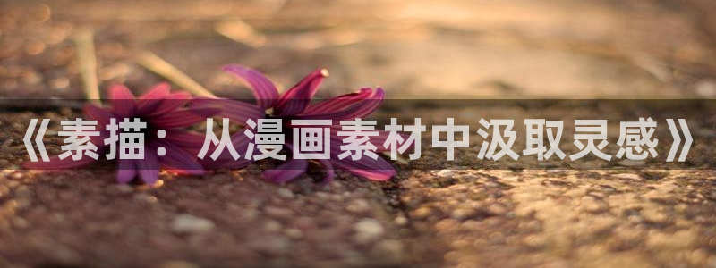 喵趣漫画官方下载：《素描：从漫画素材中汲取灵感》